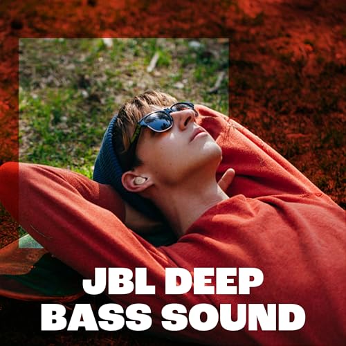 Should you buy JBL Vibe Buds wireless earbuds? Honest review and key features here!