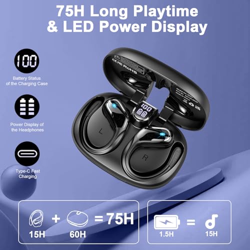 Ltinist X29 Wireless Earbuds Review Deep Bass Noise Cancelling Bluetooth 5.4